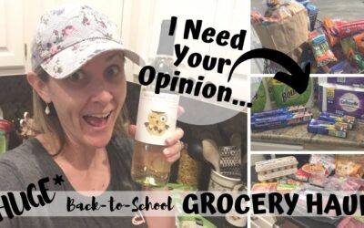 *HUGE* GROCERY HAUL // THE GREAT “TP” DEBATE // ALDI HAUL