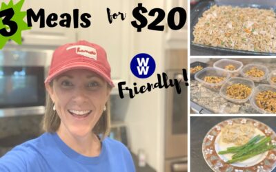 CHEAP, HEALTHY DINNERS // 3 WW MEALS ON A BUDGET // FAMILY FRIENDLY // WEIGHT WATCHERS