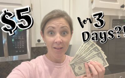 EXTREME BUDGET GROCERY CHALLENGE // $5 FOR 3 DAYS OF MEALS!