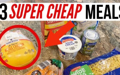 ⭐️BEST EXTREME BUDGET FAMILY MEALS // $3 DINNERS // ALDI EDITION