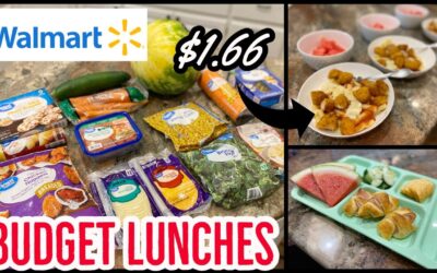 CHEAP LUNCH IDEAS FROM WALMART // KID & GROWN-UP FRIENDLY MEAL IDEAS