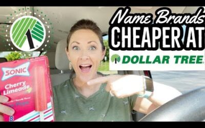 BEST DOLLAR TREE DEALS // MY TOP 10 DOLLAR TREE BARGAINS