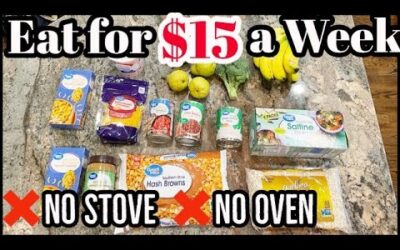 EXTREME BUDGET MEALS IN THE MICROWAVE // EAT FOR $15 A WEEK