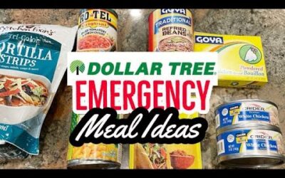 EMERGENCY FOOD STORAGE AND PREP // DOLLAR TREE MEALS