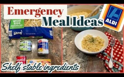 SHELF STABLE EMERGENCY MEALS // ALDI SHOP WITH ME