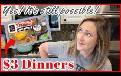 🌟EXTREME BUDGET MEAL PLAN 🌟// ARE $3 DINNERS STILL POSSIBLE?