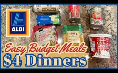 EASY EXTREME BUDGET FAMILY MEALS // COOK DINNER FOR $4!