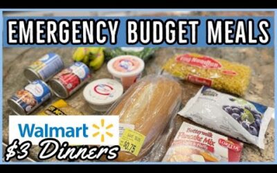 🍲 WALMART EXTREME BUDGET MEALS // EMERGENCY BUDGET MEAL IDEAS