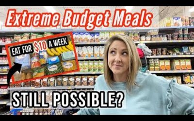 EAT FOR $10 A WEEK STILL POSSIBLE? // EXTREME BUDGET MEALS