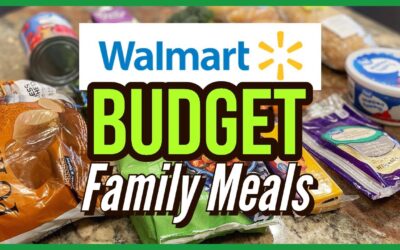 🌟EASY WEEKNIGHT FAMILY MEALS on a BUDGET💵// 3 DINNERS for $20!