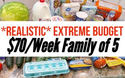 EXTREME BUDGET FAMILY MEALS for a WEEK // CHEAP & EASY RECIPES for BREAKFAST, LUNCH, DINNER