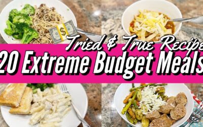 20 *BEST* EXTREME BUDGET MEAL IDEAS // FAMILY FAVORITE CHEAP RECIPES