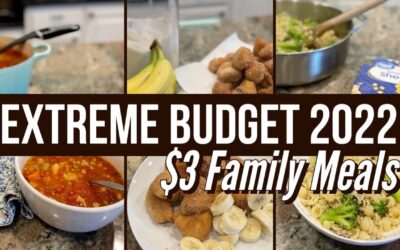 EXTREME BUDGET FAMILY MEALS for $3! // EXTREME BUDGET CHALLENGE