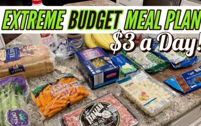 BEST EXTREME BUDGET MEAL PLAN $20 for a WEEK! // EASY MEALS on a BUDGET