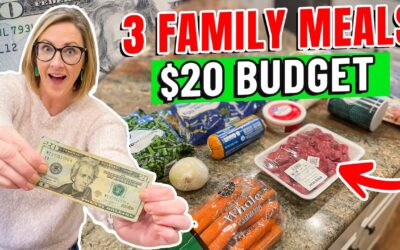 BEAT INFLATION with these 3 EASY BUDGET MEALS // 3 DINNERS for $20 in 2023