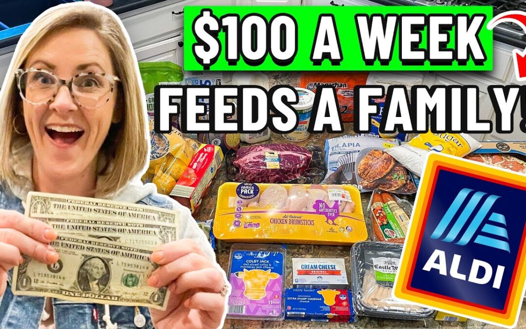 🌟REALISTIC BUDGET MEAL PLAN $100 for a WEEK of FAMILY MEALS // $3 a Day per Person!