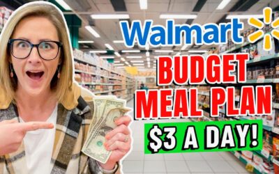 *REALISTIC* BUDGET FAMILY MEAL PLAN $100/WEEK // 2023 Feed a Family on a Budget