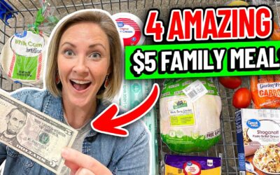 ✨NEW✨Unbelievable $5 DINNERS in 2023! Cheap & Easy Family Meals