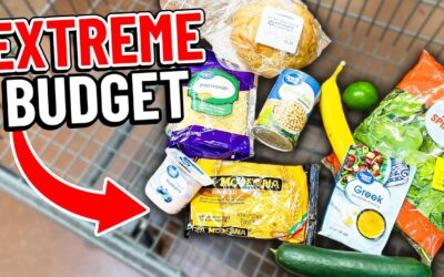 The Ultimate $8.72 Extreme Budget Meal Plan with 11 items from Walmart!