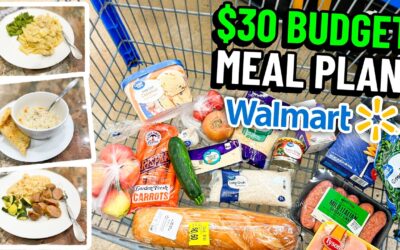 $30 Budget at Walmart Makes 3 Delicious Family Meals + Dessert!