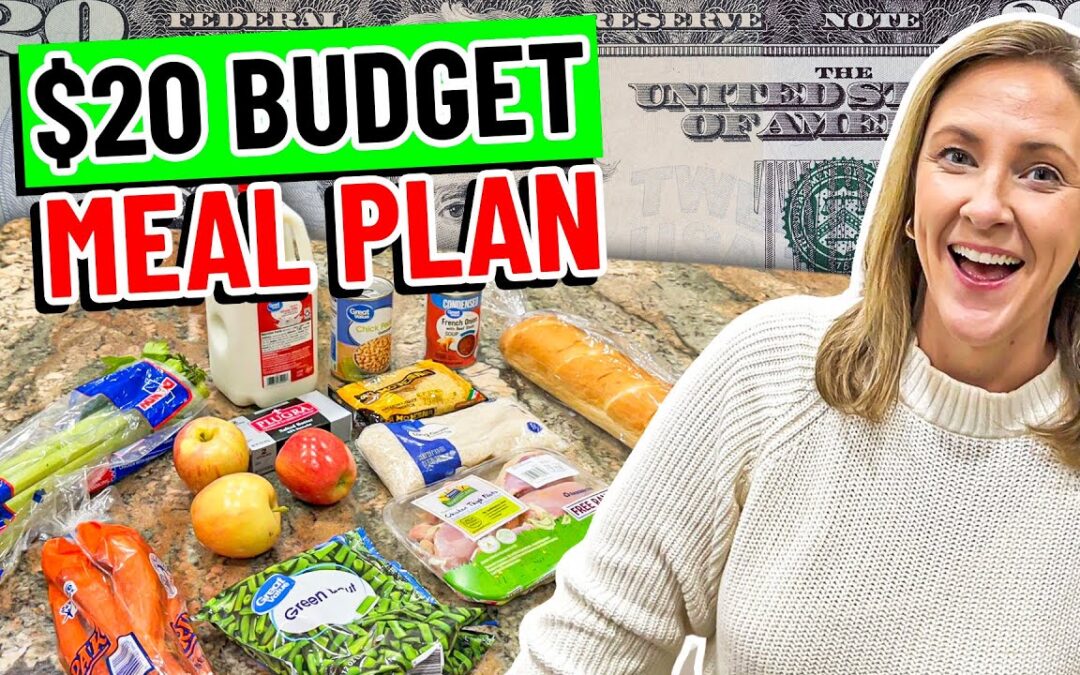 ✨NEW✨ $20 Budget Meal Plan in 2024!